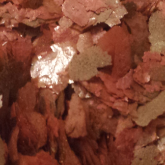 Doxycycline Flake