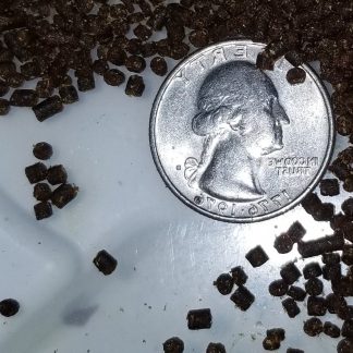 Fenbendazole Pellet